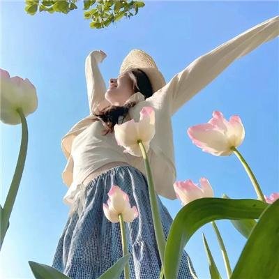 风骚律师第二季